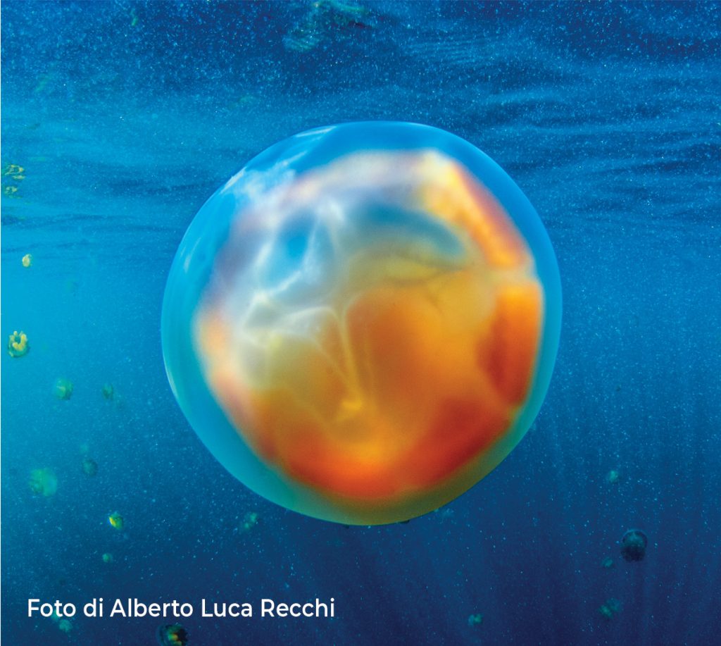 Alberto Luca Recchi