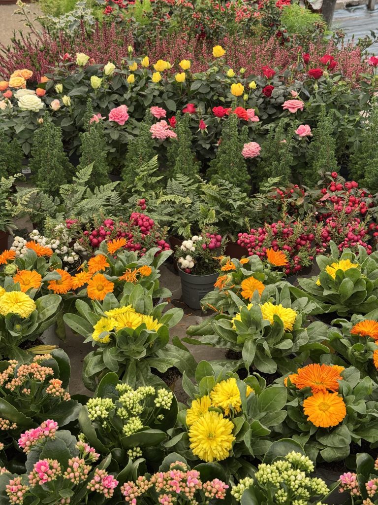 Fleur Garden