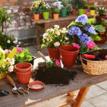 Horticultural