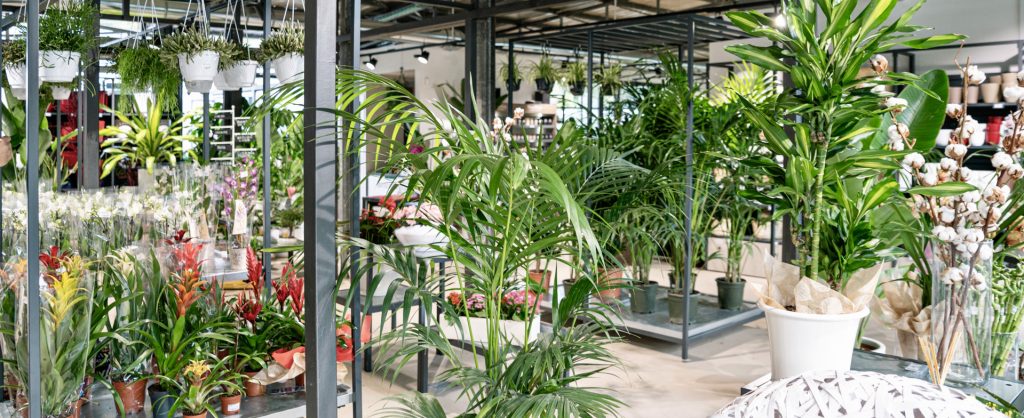 Horticultural