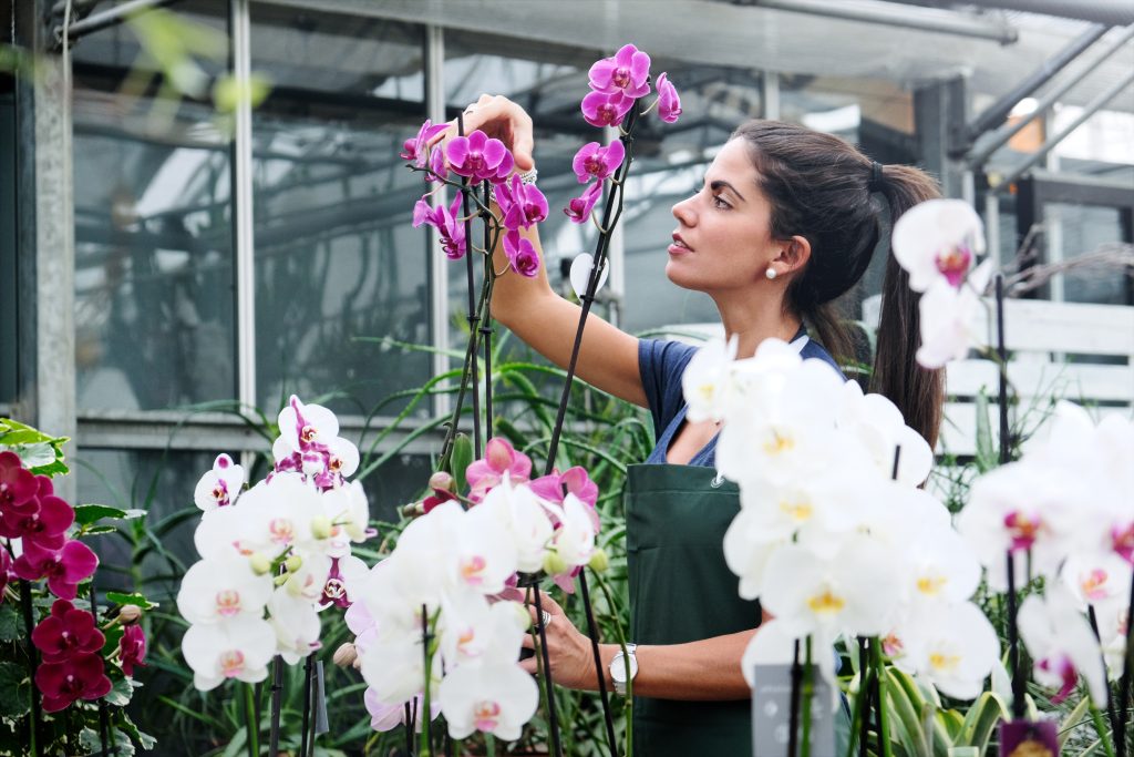 Horticultural