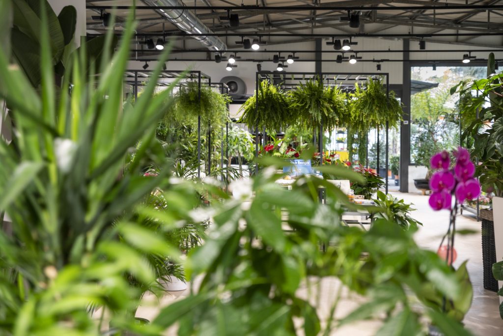 Horticultural