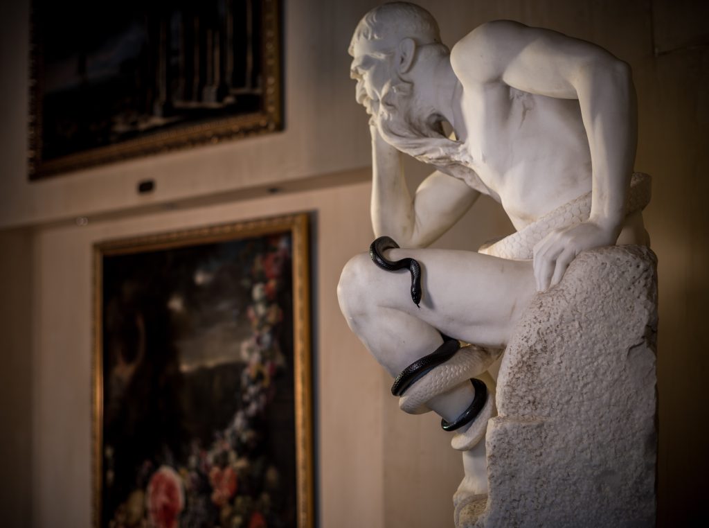 Rome Cavalieri